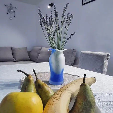 Z Apartman Zlarin