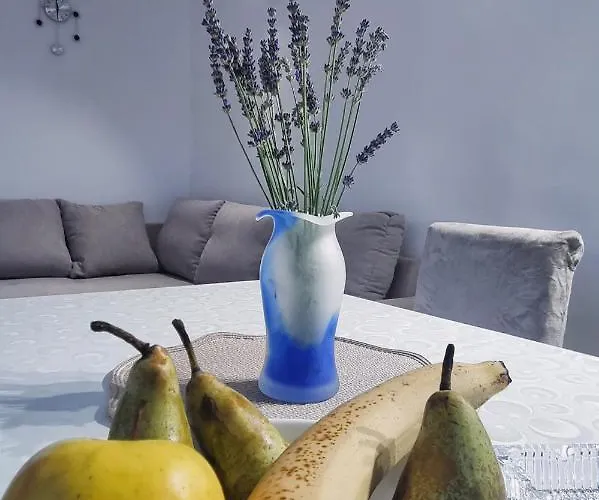 Z דירה זלארין